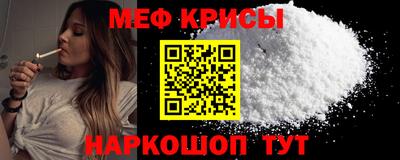 стаф Камышлов