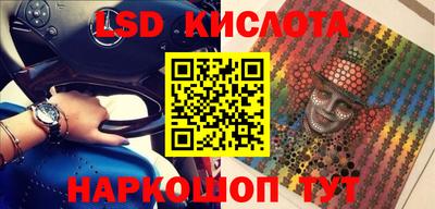 стаф Камышлов