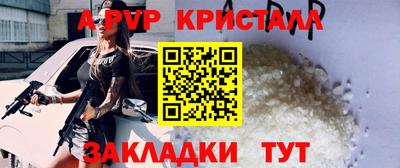 стаф Камышлов